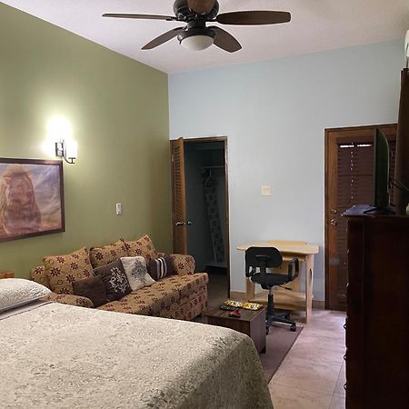 Le Quad - One Bedroom & Studio Apt - Private, Spacious & Secured Kingston Eksteriør bilde